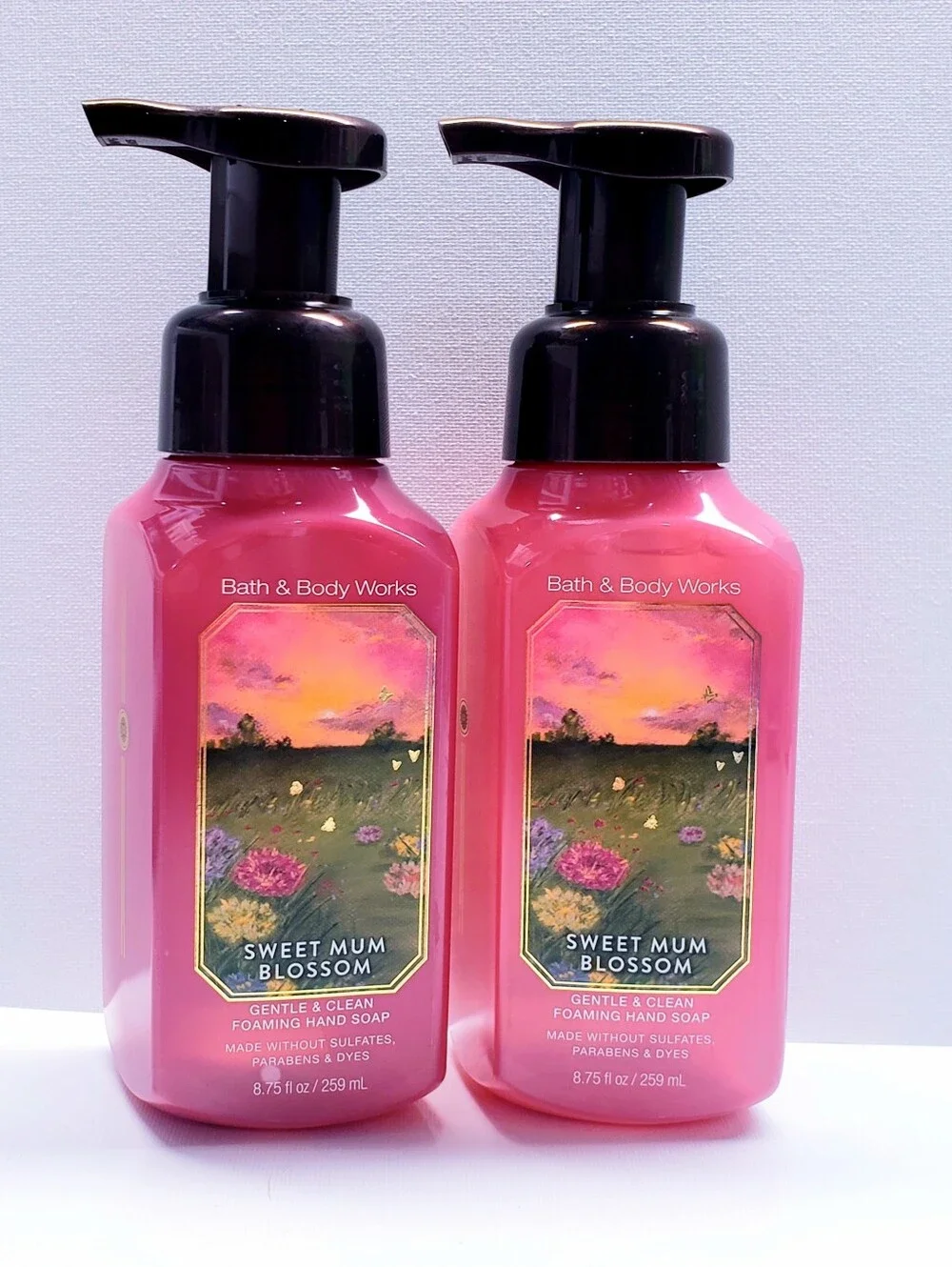 Bath & Body Works COCKTAIL HOUR Gentle & Clean Foaming Hand Soap, 8.75  Oz (2 )